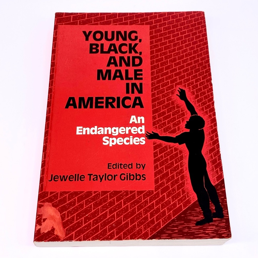 Young, Black, and Male in America Book